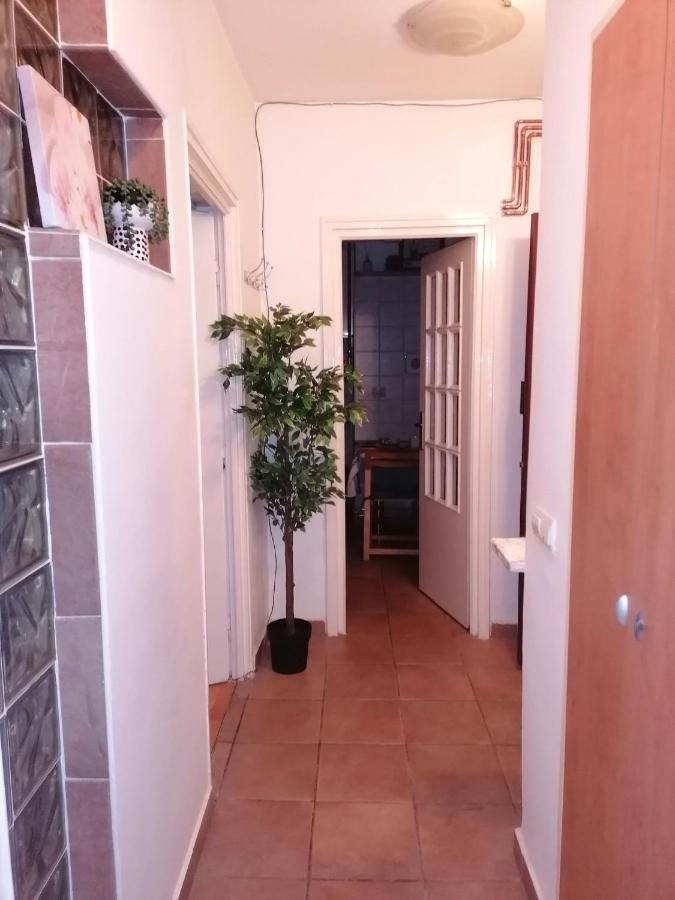 River View, In City Center Apartment Bukarest Exterior foto